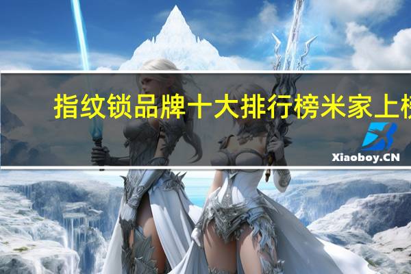 指纹锁品牌十大排行榜 米家上榜,第二名气影响力排名前列