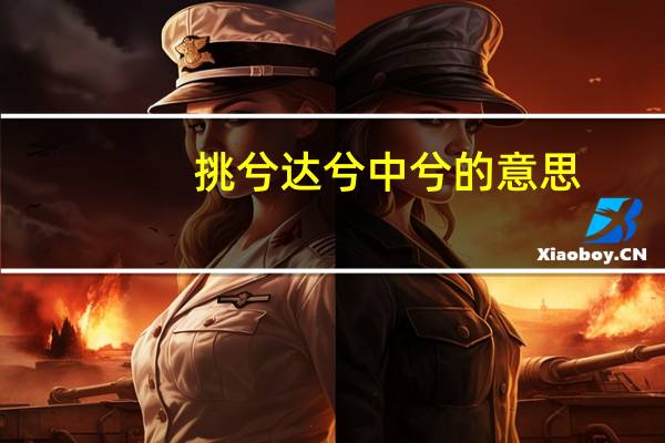 挑兮达兮中兮的意思