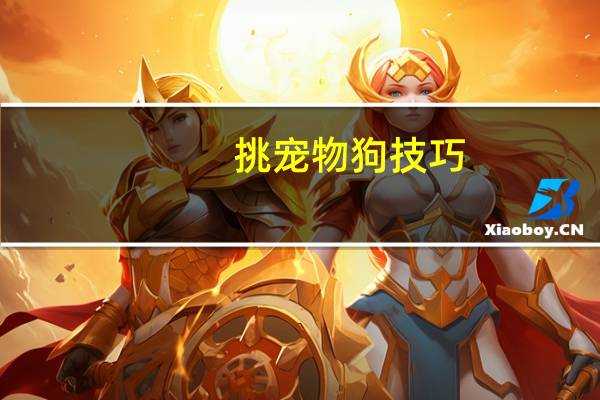 挑宠物狗技巧