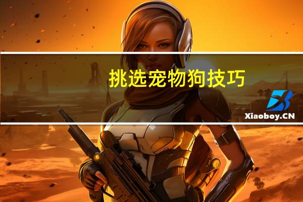 挑选宠物狗技巧