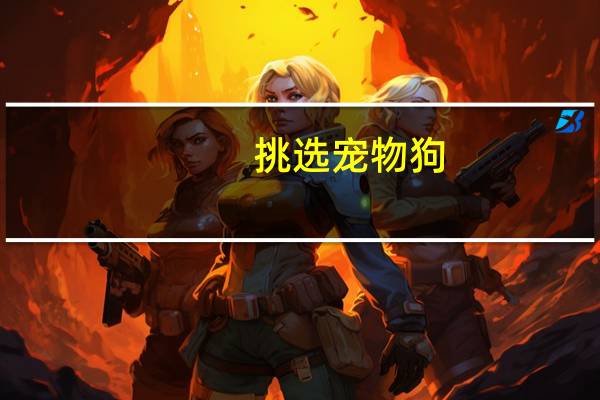 挑选宠物狗