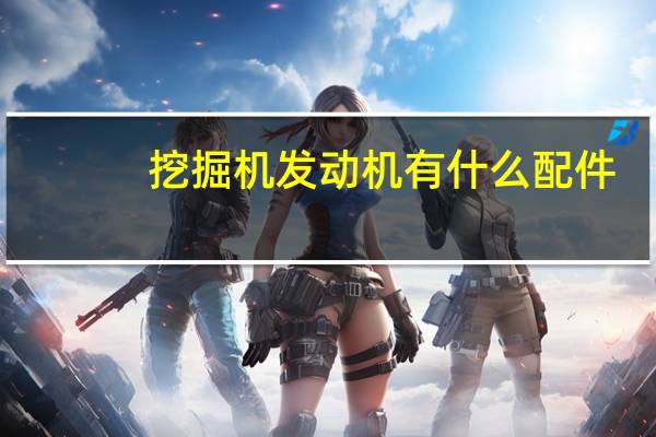 挖掘机发动机有什么配件
