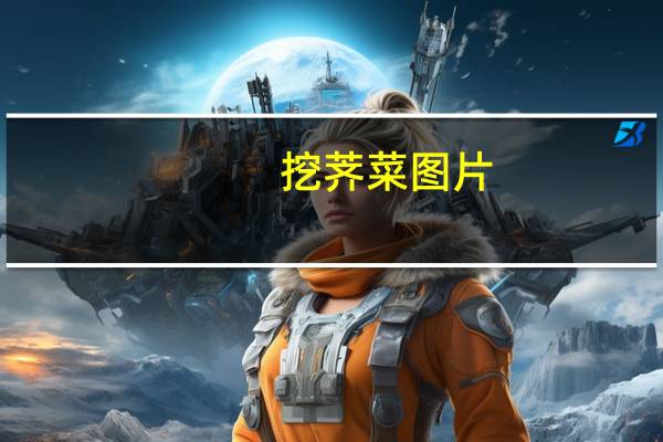 挖荠菜图片（挖荠菜）