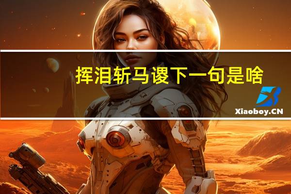 挥泪斩马谡下一句是啥（挥泪斩马谡）