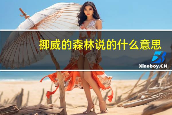 挪威的森林说的什么意思