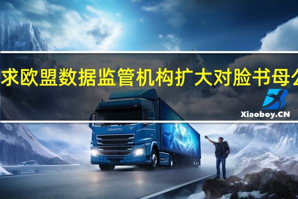 挪威请求欧盟数据监管机构扩大对脸书母公司处罚范围