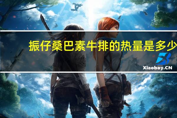 振仔 桑巴素牛排的热量是多少