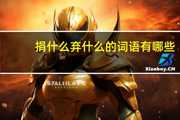 捐什么弃什么的词语有哪些?