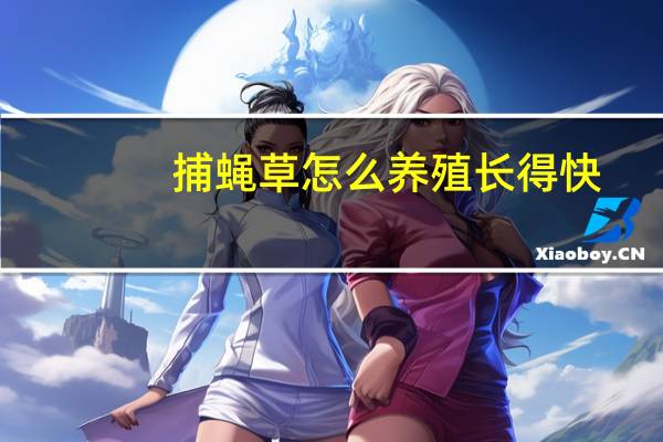 捕蝇草怎么养殖长得快