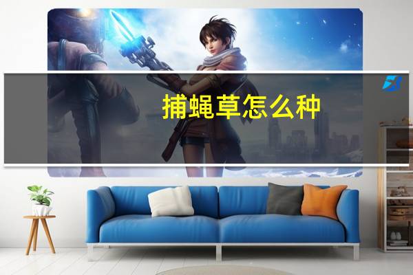 捕蝇草怎么种