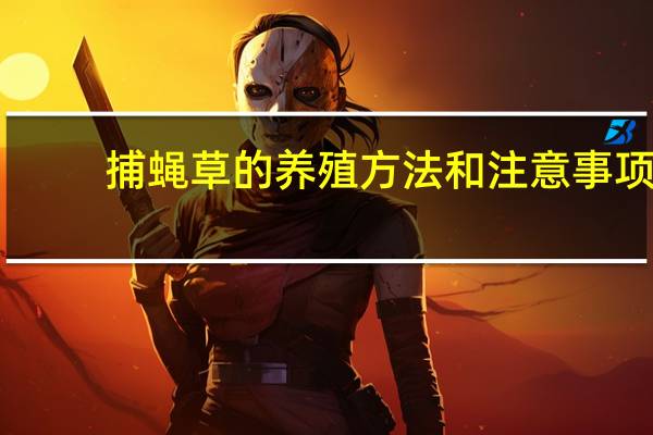 捕蝇草的养殖方法和注意事项