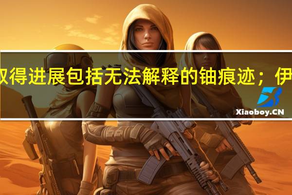 据国际原子能机构报告在悬而未决的保障问题上没有取得进展包括无法解释的铀痕迹；伊朗拒绝允许在另一个地点安装更多的国际原子能机构摄像机