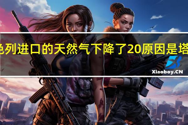 据悉埃及从以色列进口的天然气下降了20原因是塔玛尔天然气项目停工