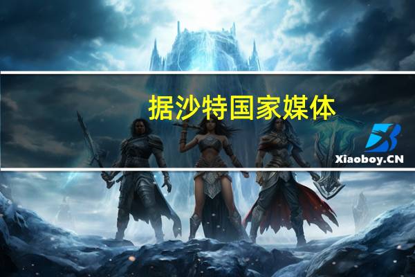 据沙特国家媒体：俄罗斯总统普京和沙特王储同意继续努力确保能源市场的稳定
