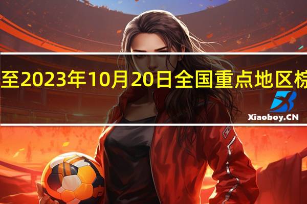 据Mysteel截至2023年10月20日（第42周）全国重点地区棕榈油商业库存约81.3万吨较上周增加0.39万吨增幅0.48%；同比2022年第42周棕榈油商业库存增加20.67万吨增幅34.09%