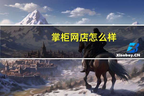 掌柜网店怎么样（掌柜网）