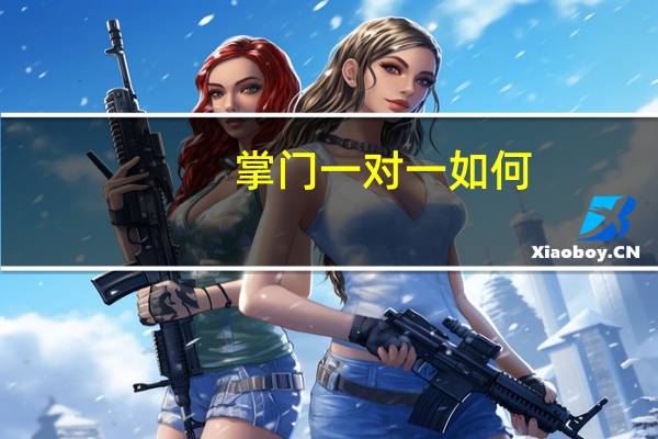 掌门一对一如何