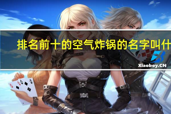排名前十的空气炸锅的名字叫什么