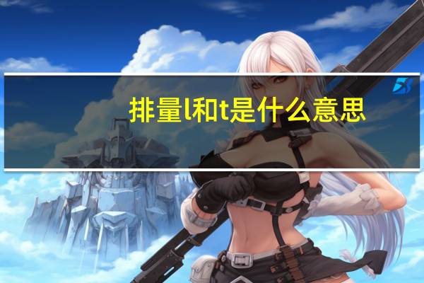 排量l和t是什么意思