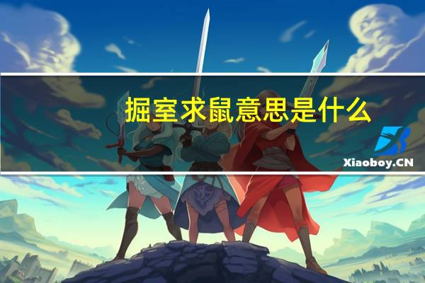 掘室求鼠意思是什么