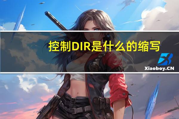 控制DIR是什么的缩写