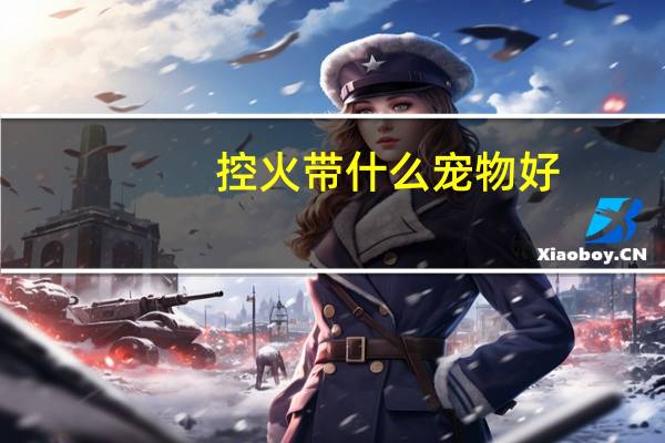 控火带什么宠物好