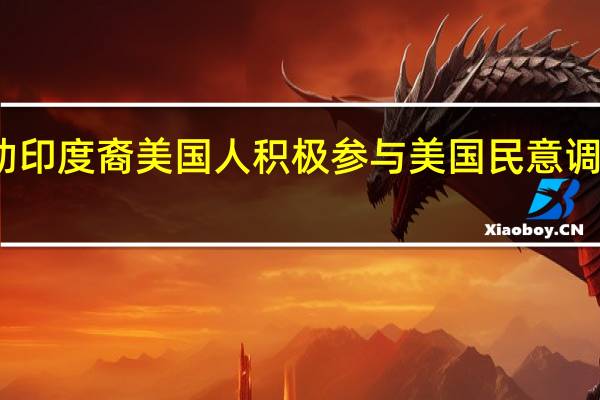 推动印度裔美国人积极参与美国民意调查的倡议