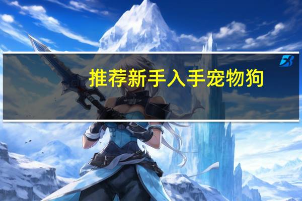 推荐新手入手宠物狗