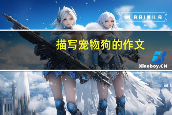 描写宠物狗的作文