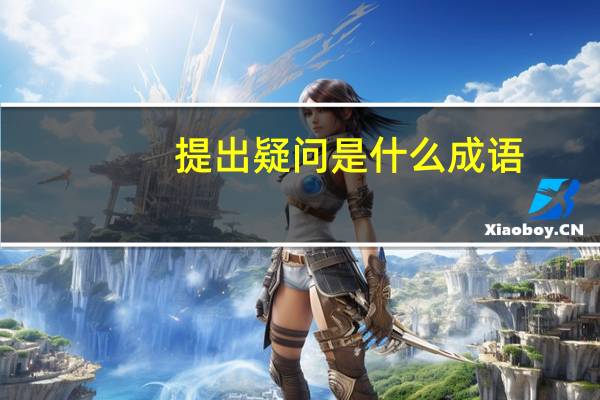 提出疑问是什么成语