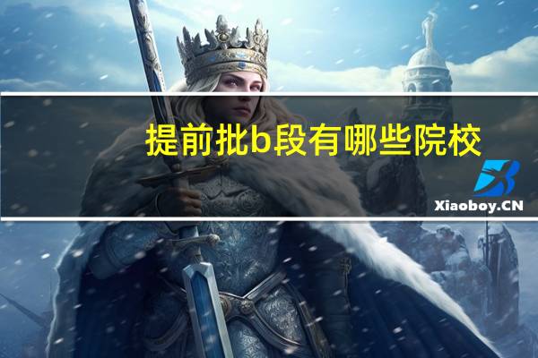 提前批b段有哪些院校