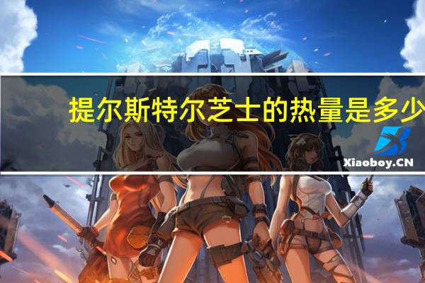 提尔斯特尔 芝士的热量是多少