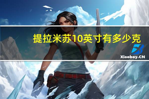 提拉米苏10英寸有多少克