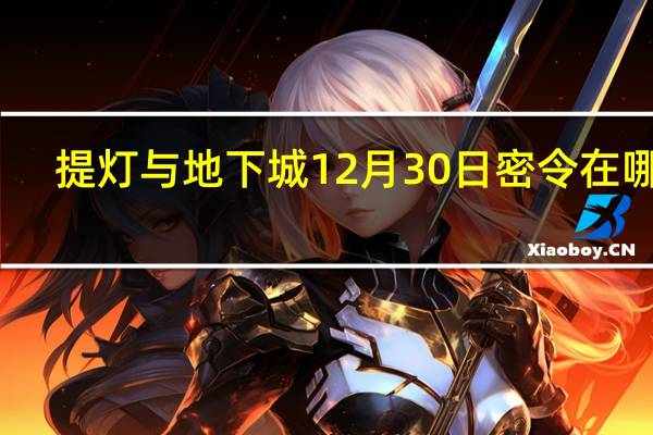 提灯与地下城12月30日密令在哪领-最新密令免费领取