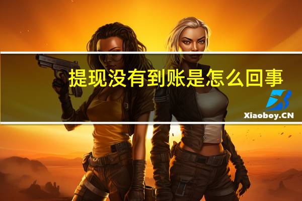 提现没有到账是怎么回事（提现）