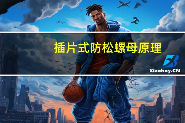 插片式防松螺母原理