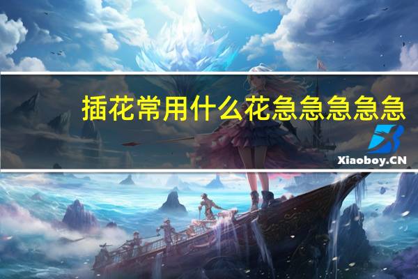 插花常用什么花急急急急急