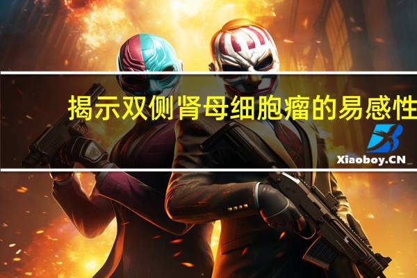 揭示双侧肾母细胞瘤的易感性