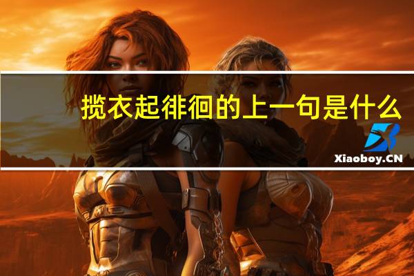 揽衣起徘徊的上一句是什么