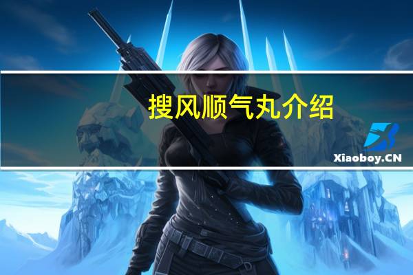 搜风顺气丸介绍