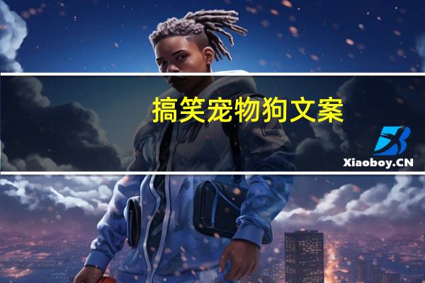 搞笑宠物狗文案