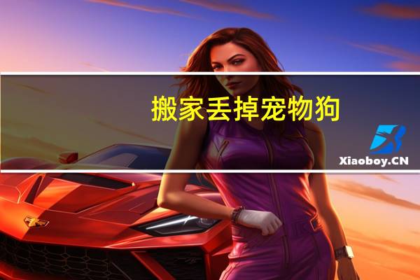 搬家丢掉宠物狗