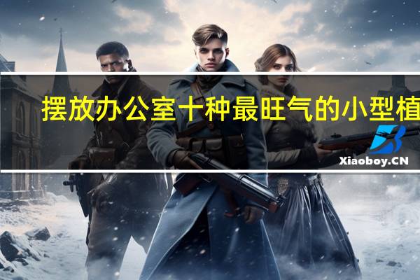 摆放办公室十种最旺气的小型植物