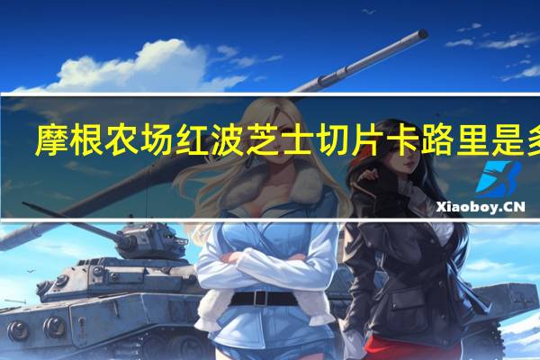 摩根农场 红波芝士切片卡路里是多少