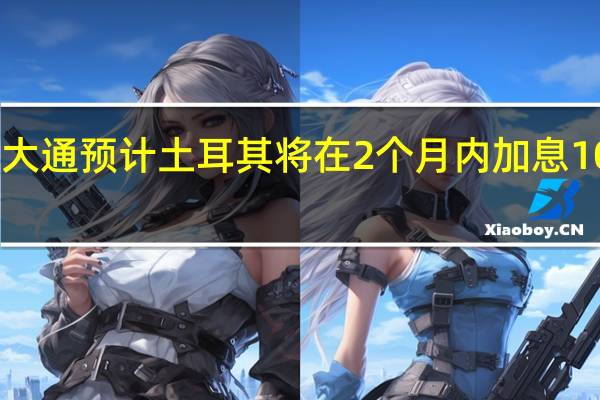 摩根大通预计土耳其将在2个月内加息1000个基点