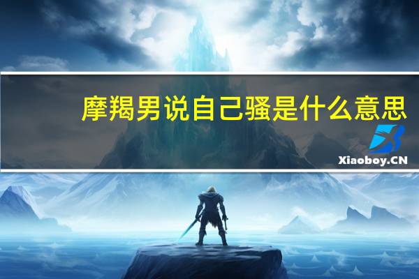 摩羯男说自己骚是什么意思