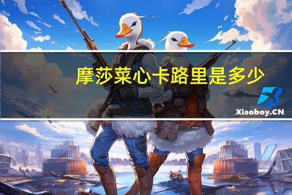 摩莎菜心卡路里是多少