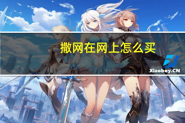 撒网在网上怎么买