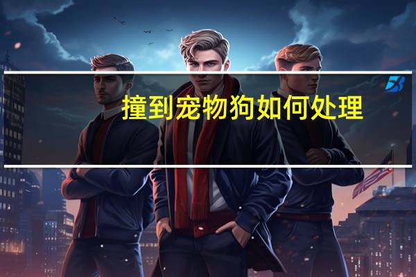 撞到宠物狗如何处理