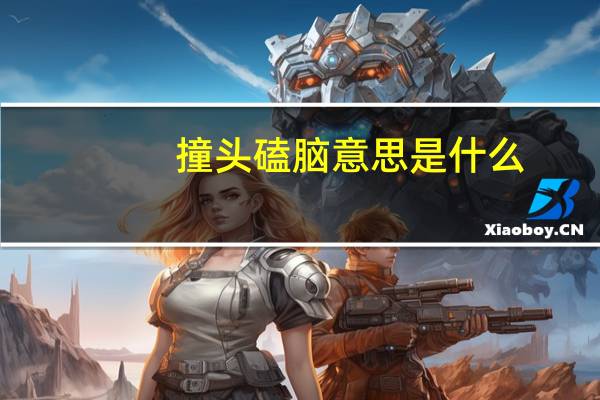 撞头磕脑意思是什么